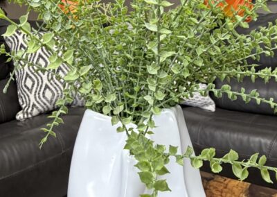 Modern white vase with foliage image